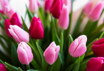 Obraz na płótnie Canvas Beautiful tulips bouquet