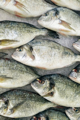 Fresh chilled fish in rows on ice in a store. Dietary useful ingredient for dinner, a showcase in a fish restaurant. Closeup background.