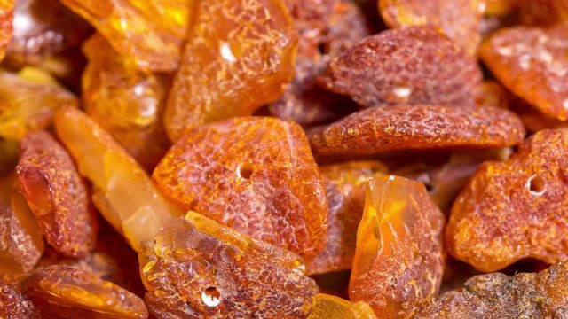 Lot of loose beads of natural Baltic amber, stop motion