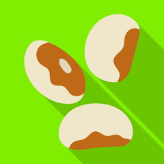 White bean vector icon.Flat vector icon isolated on white background white bean.