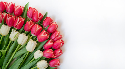 Set of colorful tulip flowers on white background. Wonderful flowers. Waiting for spring. Happy Easter card. Flat lay, top view.