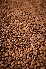 Close-up of roasted coffee beans