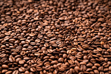 Close-up of roasted coffee beans
