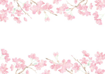 Obraz na płótnie Canvas 満開の桜の花フレーム02/イラスト素材/背景素材