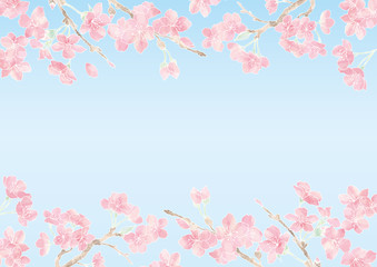 Obraz na płótnie Canvas 満開の桜の花フレーム03/イラスト素材/背景素材