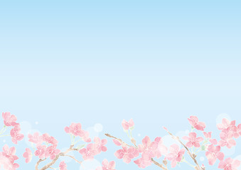 Obraz na płótnie Canvas 満開の桜の花フレーム13/イラスト素材/背景素材