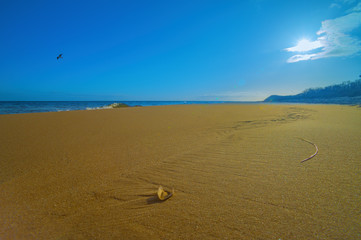 Baltic Sea, Usedom Island, winter, morning. Pictures of carefree life, practically just a few hours before the corona virus crisis changes everyone: the island is now closed. Fear instead of joy.