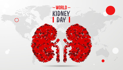 Illustration of world kidney day concept poster, banner, background. The national kidney month vector illustration. Abstract illustration for prevention of kidney diseases. Urogenital system. 