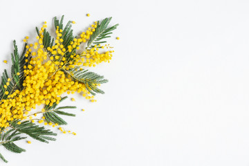 Flowers composition. Mimosa flowers on gray background. Spring concept. Flat lay, top view