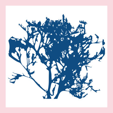 Vector botanical illustration of a plant. Ink monoprint of a leaf. Abstract background in grunge style. Design of a postcard, poster or invitation.