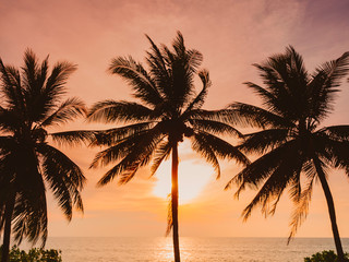 Fototapeta na wymiar Coconut Tree Sunset Beach Vacation Outdoor Summer holiday Background