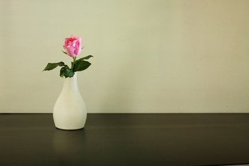 Pink rose in vase on white background