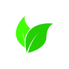 Green leaves icon. Vector illustration isolated on white background.
