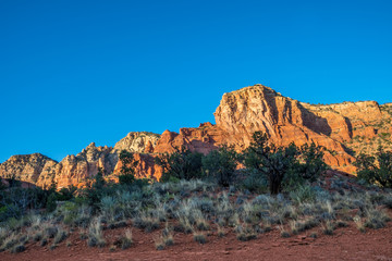 Fototapeta premium Red-Rock Buttes landscape in Sedona, Arizona