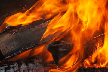 Burning bonfire close up background.