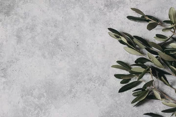 Fototapeten Floral composition of green olive tree leaves and branches isolated on grunge gray table background. Botany styled stock flat lay image, top view. Copy space, no people. Summer natural frame. © tabitazn