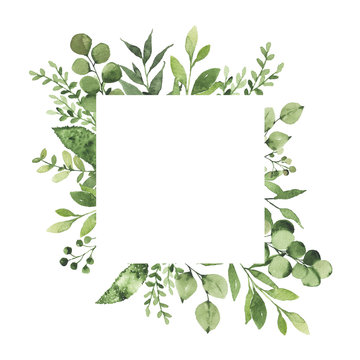 Fototapeta Watercolor geometrical frame with greenery leaves branch twig plant herb flora isolated on white background. Botanical spring summer leaf decorative illustration for wedding invitation card