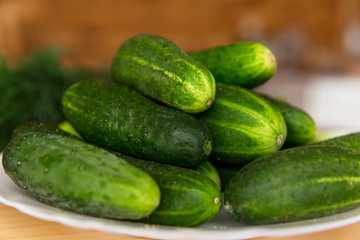 Fresh juicy cucumbers on a plate. Close-up.