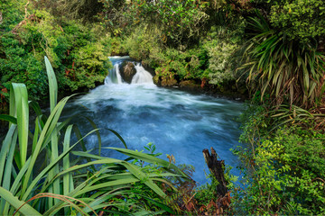 Okere Falls near Rotorua, New Zealand. A plunge pool surrounded by native forest