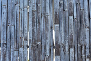 Dense bamboo fence made of thick dried bamboo stick.