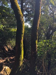 素敵な風景