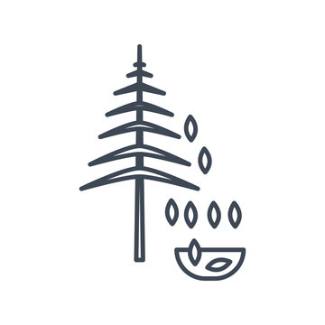 Thin line icon forestry and silviculture, seeds harvesting