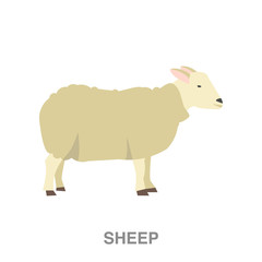 sheep flat icon on white transparent background. You can be used black ant icon for several purposes.	