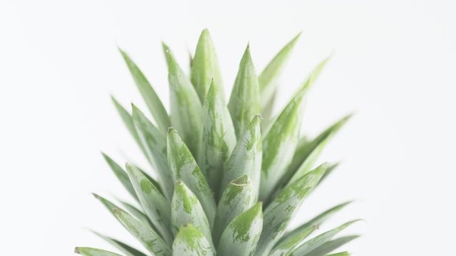 Rotating pineapple in circle, Pineapple spinning on a white background. 4K