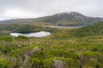 Epic mountain, virgin nature landscape. Craddle mountain, Australia