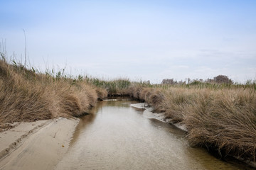 Laguna marittima in riserva naturale con cielo blu, erba ai lati e fondale basso