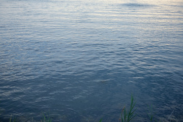 Mare calmo nella laguna Veneta al largo dell'isola di Sant'Erasmo