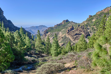 Fototapeta na wymiar Scenic view of Pico de las Nieves - the highest peak on the island of Gran Canaria on Canary Islands in Spain. Beautiful summer sunny look of mountains of islands in Athlantic ocean