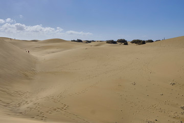 Fototapeta na wymiar Scenic view of Maspalomas sand dunes on seacoast in Gran Canaria island in Canary islands in Spain. Beautiful summer sunny look of white sand and sea on paradise island in Atlantic ocean.