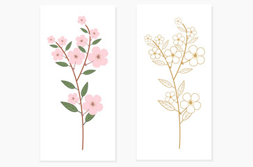 Cherry Blossom in vector. Cherry Blossom is available in both color and line style. Cherry blossom branches. Pink Cherry Blossom. Golden line cherry blossoms.