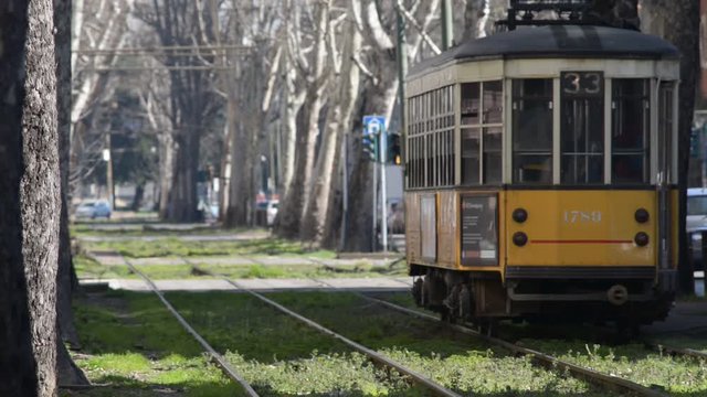 typical Milan trams in double Tramvia
