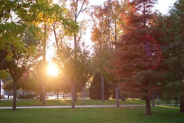 Bright morning sunrise in an empty city park. Autumnal park and sunshine.