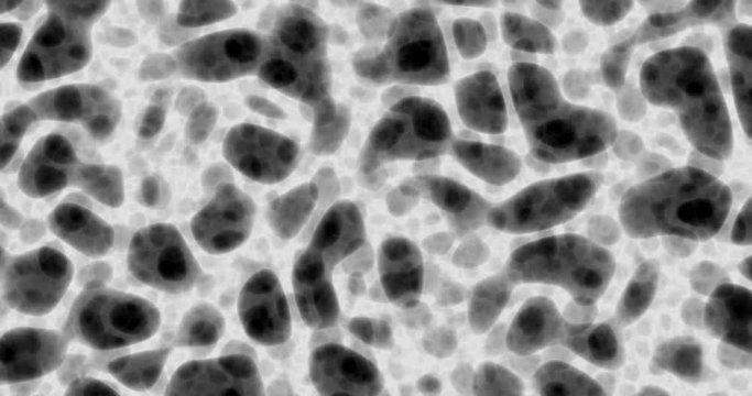 Organic tissue under the microscope, cells and blood. Artificial abstract background for video about medical, crime and scientific topics. Pandemic coronavirus COVID-19 infection concept. Grayscale