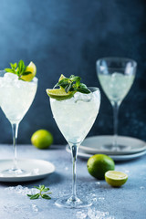 Summer cocktail mojito