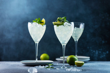 Summer cocktail mojito