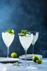 Summer cocktail mojito