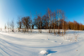 clearing in the winter mountains on a sunny day for outdoor activities and walks