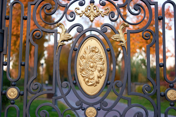 Ironwork metal fence close up. Park entrance metal fence.