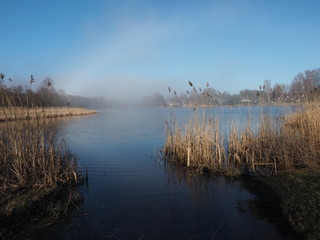 Sunny lake with light fog. The coast is overgrown with reeds.