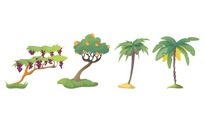 Different Fruit Trees with Thick Tree Crown and Fruits Vector Set