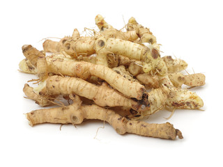 Polygonatum sibiricum on white background