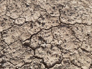 dry earth cracked ground