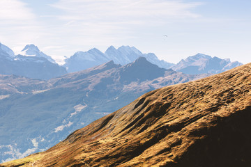 Picturesque autumn landscape with mountains range in Grindelwald village in Swiss Alps