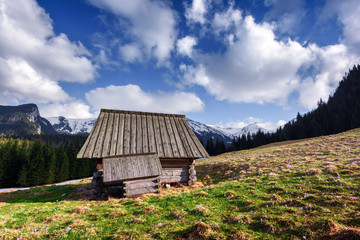 Old wooden hut in spring High Tatras mountains in Kalatowki meadow, Zakopane, Poland. Crocus flowers on a foreground. Landscape photography