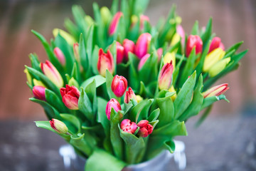 Bouquet of tulips in an iron bucket. Holiday. Gift. Natural flowers.
