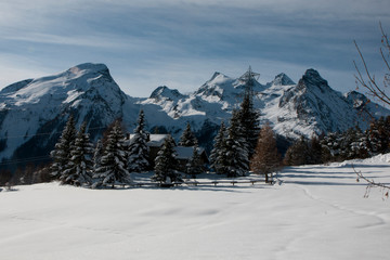 Veduta sulle montagne a Cogne